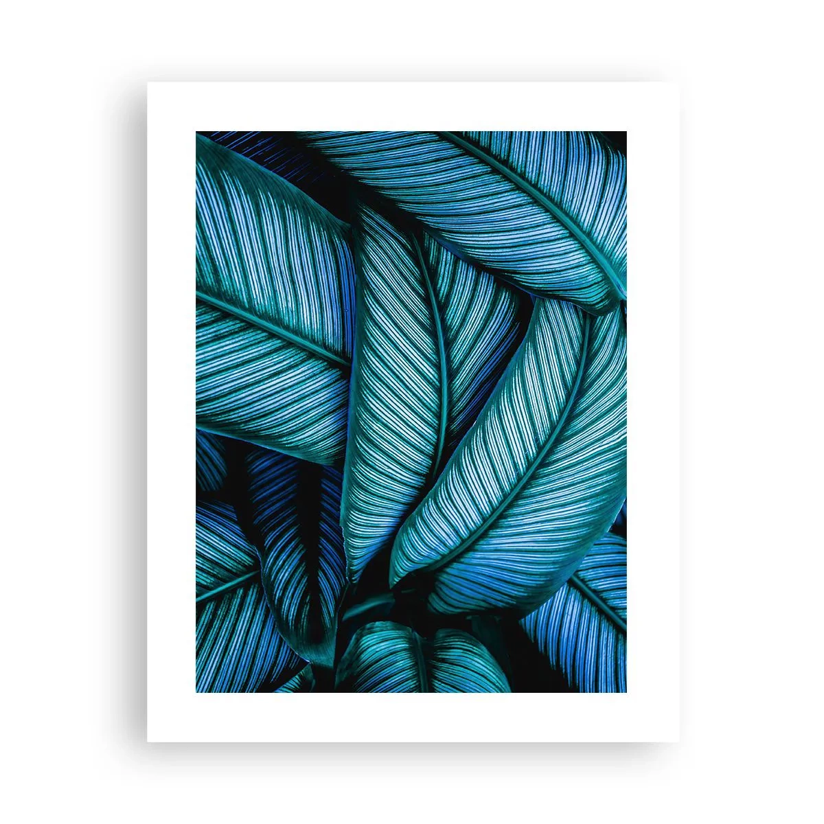 Poster - Lebenslinien - 40x50 cm