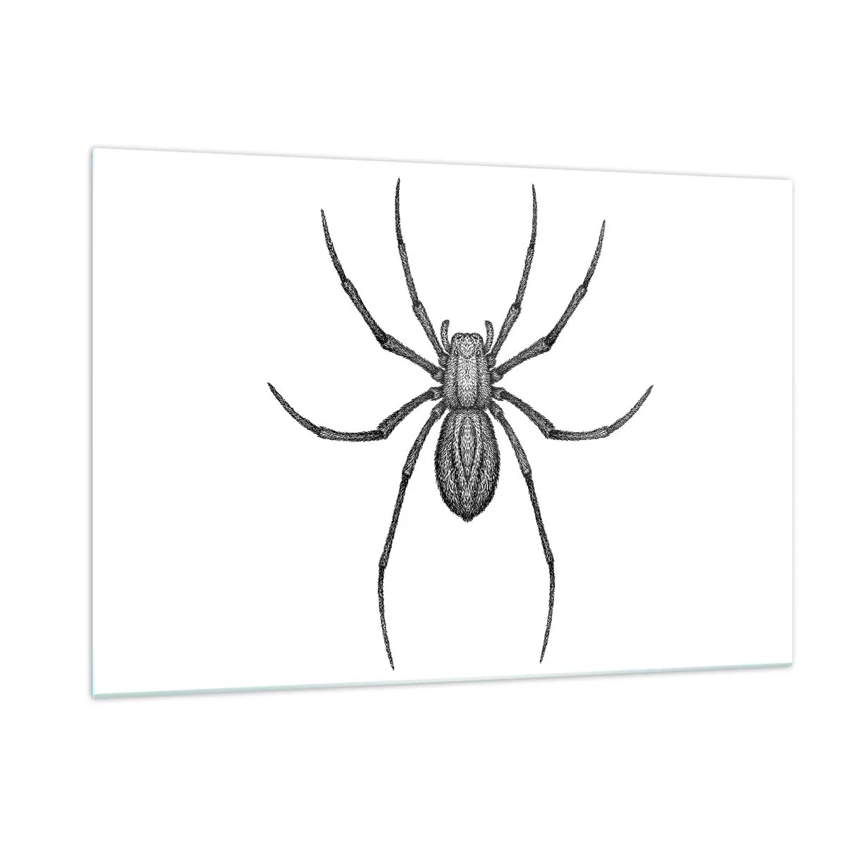 Glasbild - Bild auf glas - Retro-Stil Illustration einer schwarzen Spinne auf weißem Hintergrund - 120x80cm - Beunruhigende Präzision - Moderne Wanddekoration für Wohnzimmer und Schlafzimmer ARTTOR