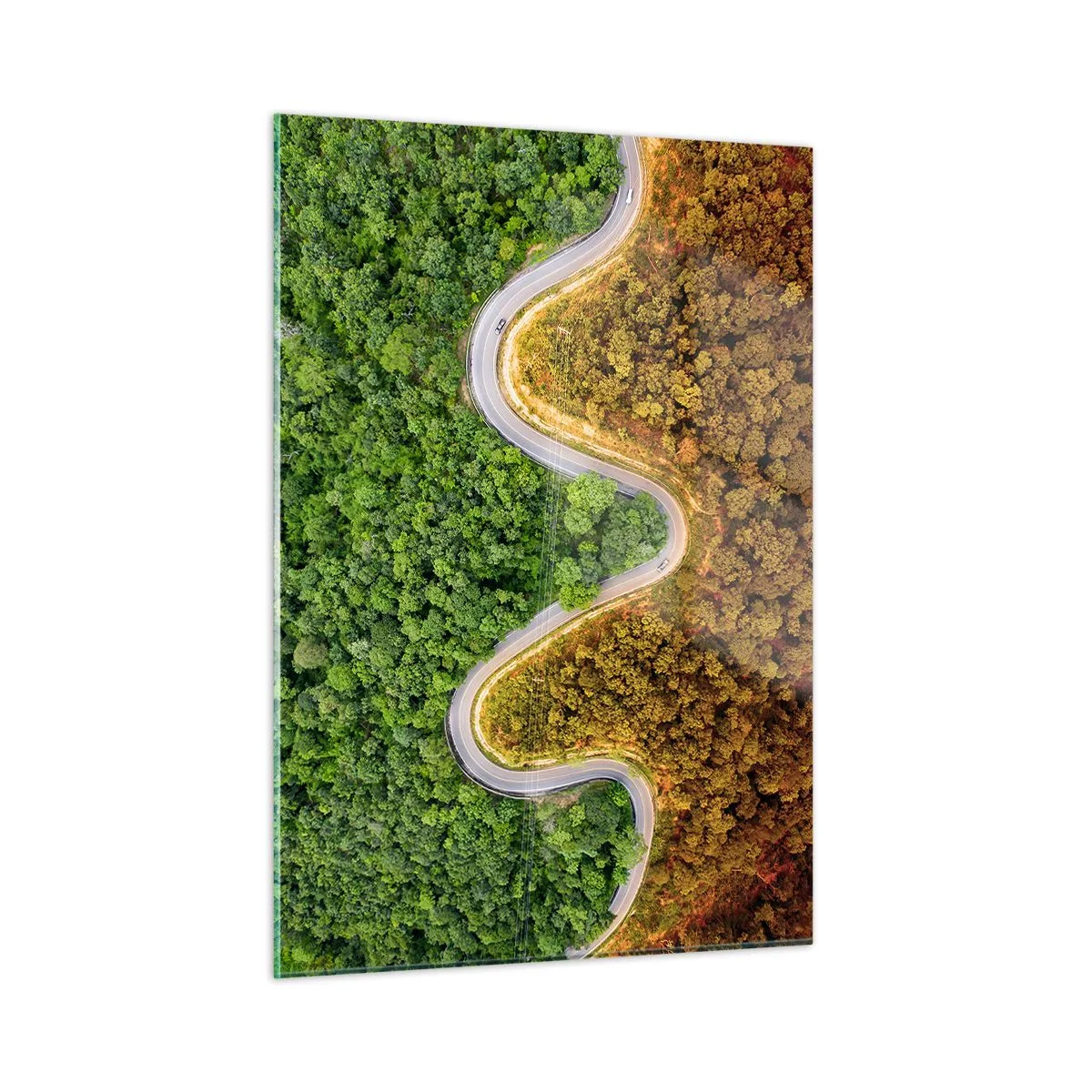 Glasbild - Bild auf glas - Eine kurvenreiche Straße durch einen dichten Wald aus der Vogelperspektive gesehen - 50x70cm - Grenzen und Durchbrüche - Moderne Wanddekoration für Wohnzimmer und Schlafzimmer ARTTOR