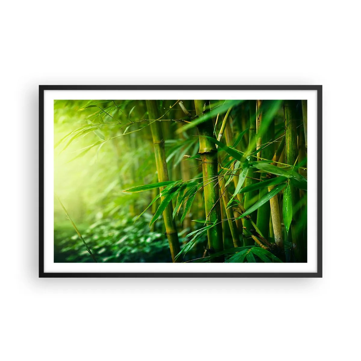 Poster in einem schwarzem Rahmen - Lerne Grün selbst kennen - 91x61 cm