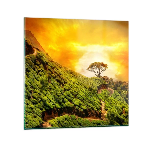 Glasbild - Bild auf glas - Ein gewundener Weg, ein grüner Hang - 70x70 cm