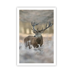 Poster - Ein flotter Morgen - 61x91 cm