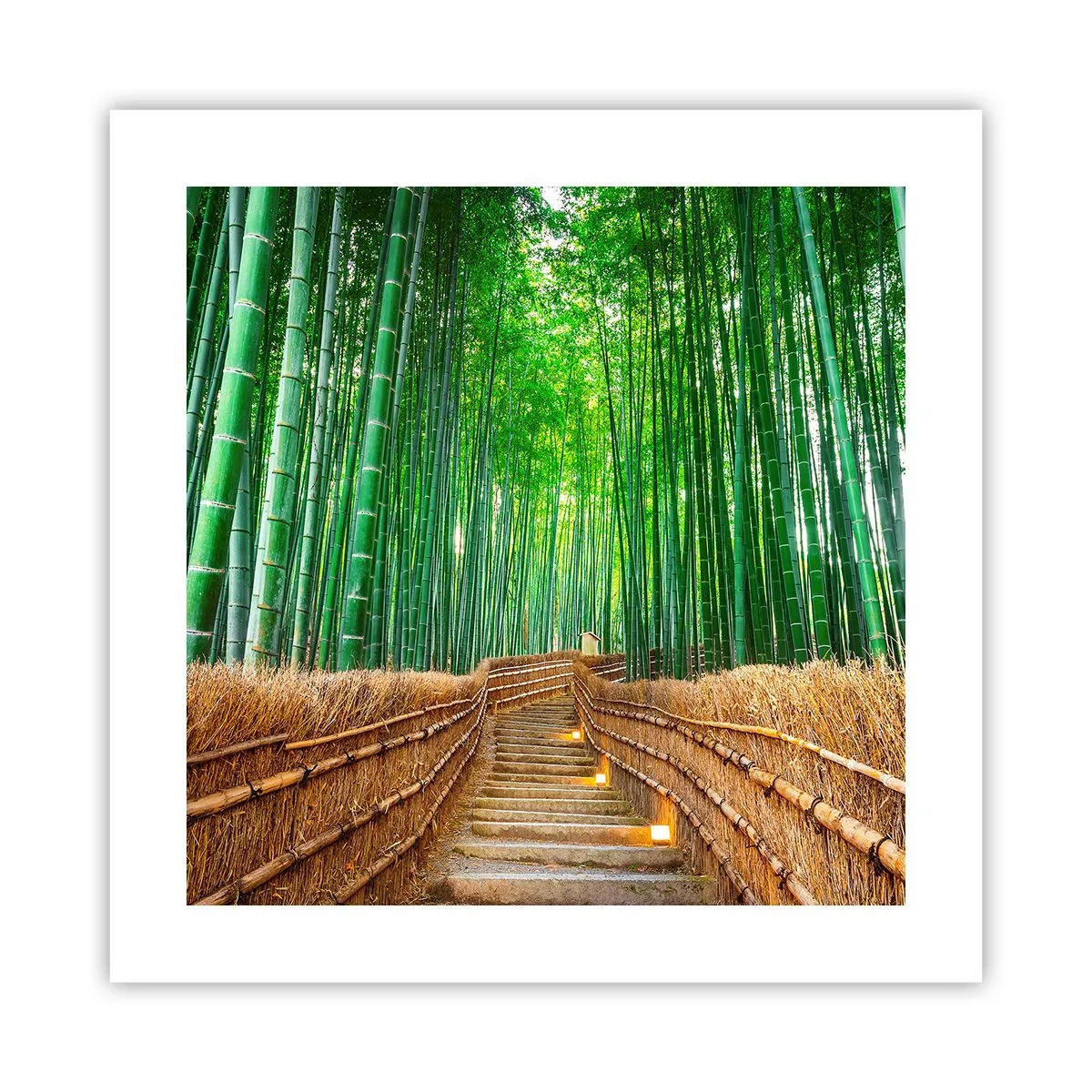 Poster - Die Essenz der asiatischen Natur - 40x40 cm