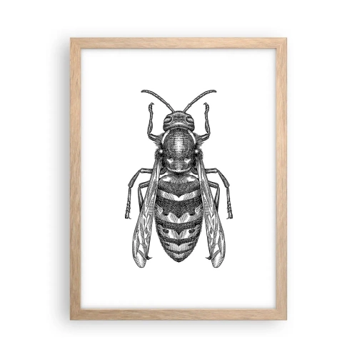 Poster in einem Rahmen aus heller Eiche - Von einem Insektenplaneten - 30x40 cm