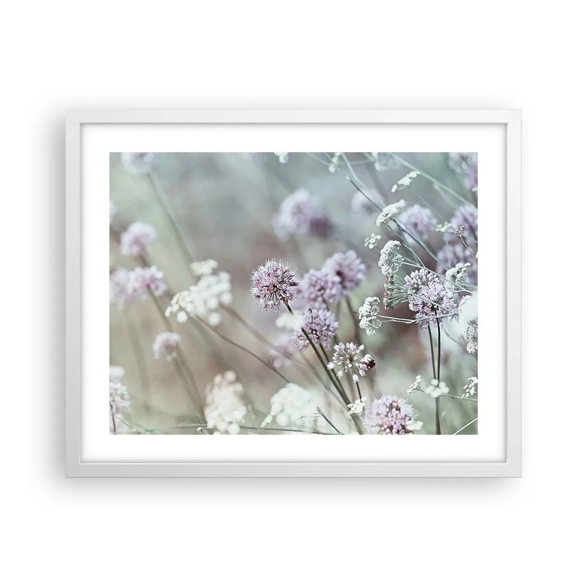 Poster in einem weißen Rahmen - Süße filigrane Kräuter - 50x40 cm