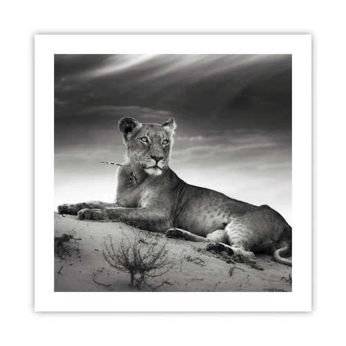 Poster - Die Königin der Wüstenruhe - 50x50 cm