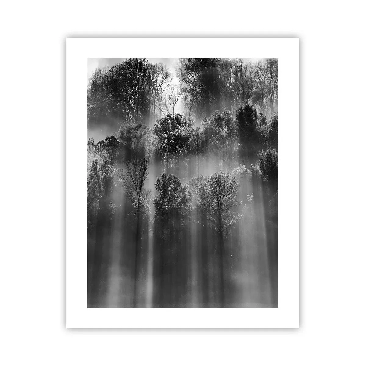 Poster - In Lichtstrahlen - 40x50 cm