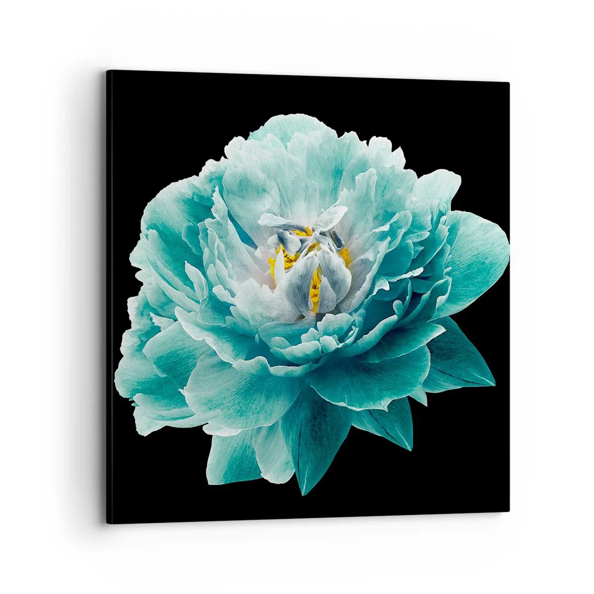 Bild auf Leinwand - Leinwandbild - Blaue und goldene Blütenblätter - 70x70 cm