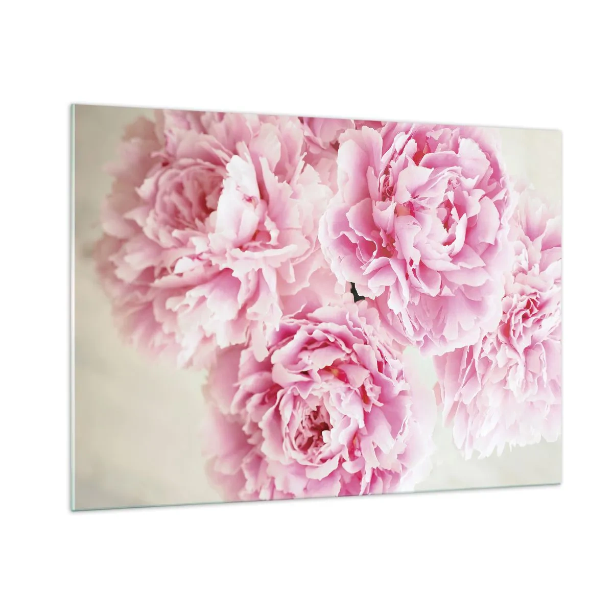 Glasbild - Bild auf glas - Ein Strauß voller rosa Pfingstrosen auf hellem Hintergrund - 100x70cm - In rosa Glamour - Moderne Wanddekoration für Wohnzimmer und Schlafzimmer ARTTOR