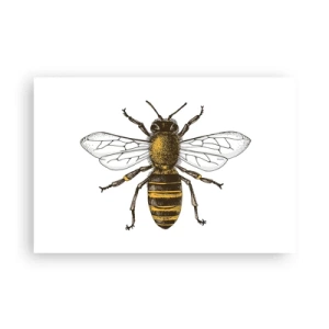 Poster - Schön und gut - 91x61 cm