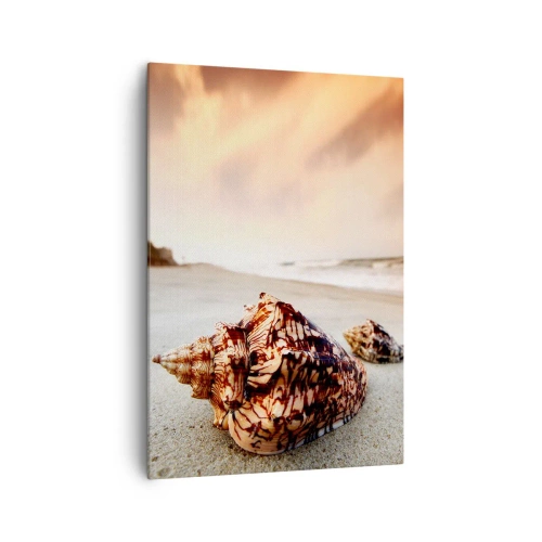 Bild auf Leinwand - Leinwandbild - Muscheln am Strand bei Sonnenuntergang - 70x100cm - Ausgestoßene von Wellen - Moderne Wanddekoration für Wohnzimmer und Schlafzimmer ARTTOR