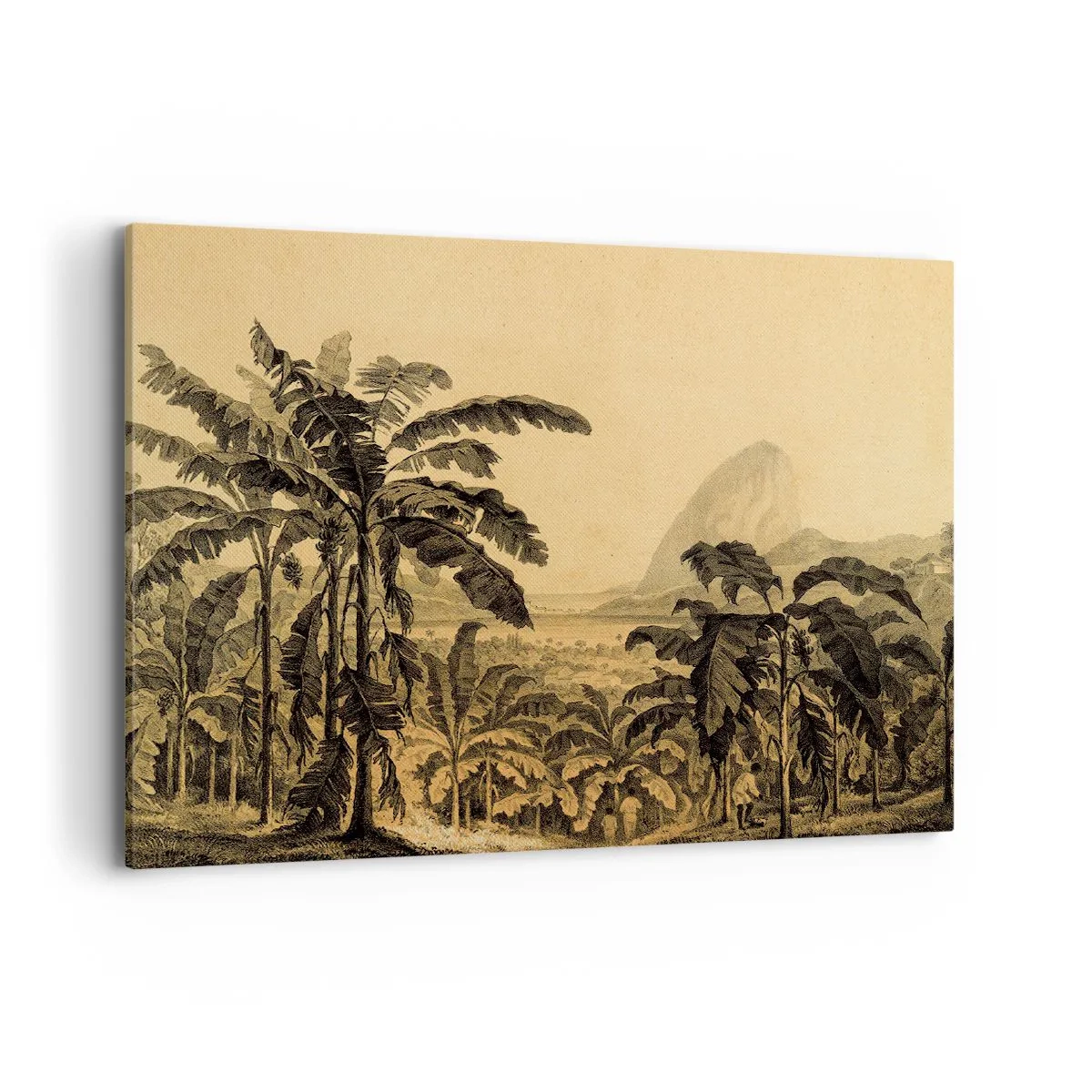 Bild auf Leinwand - Leinwandbild - Zeichnung von Bananenbäumen vor dem Hintergrund einer tropischen Landschaft - 100x70cm - in einem kolonialen Klima - Moderne Wanddekoration für Wohnzimmer und Schlafzimmer ARTTOR