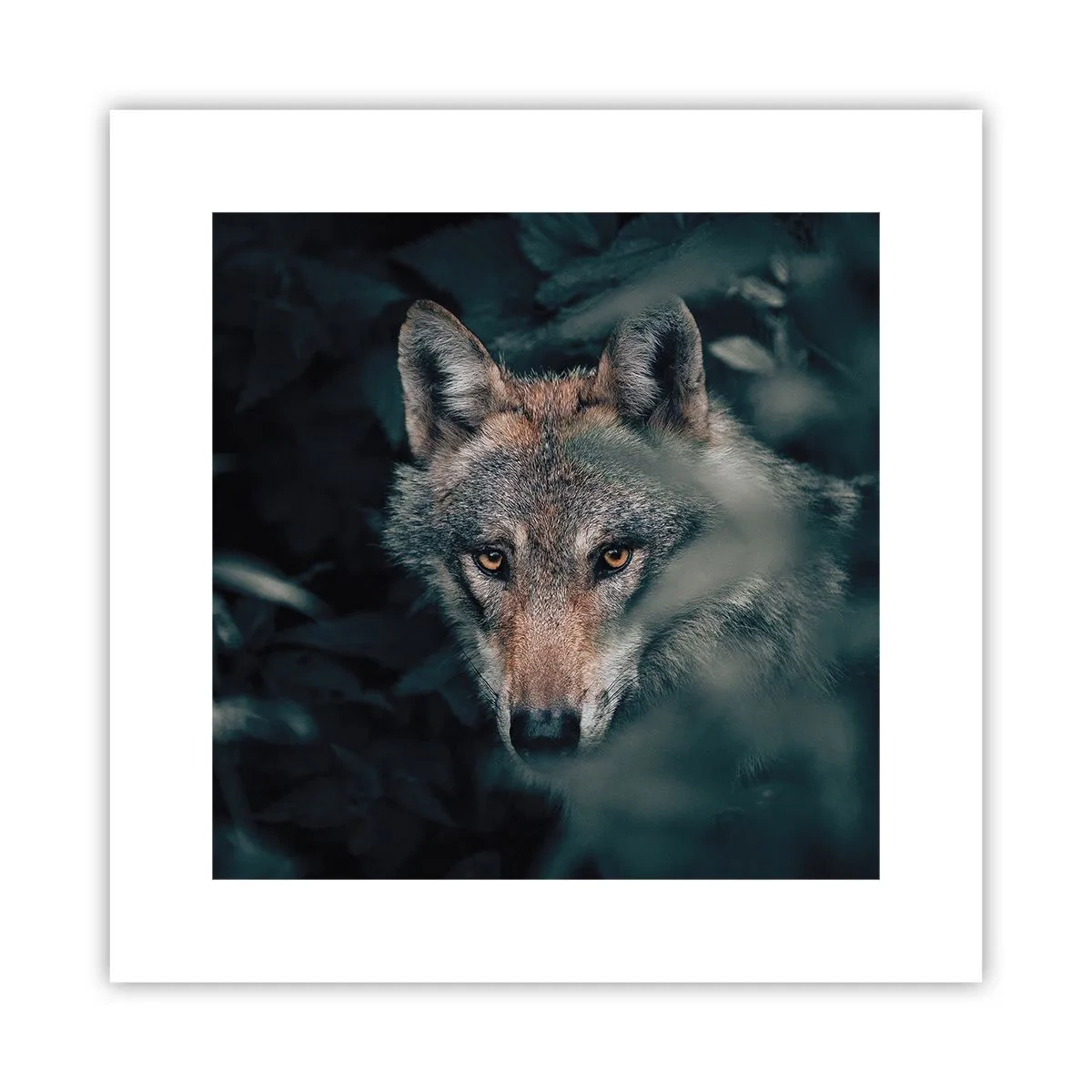 Poster - Jäger - 30x30 cm