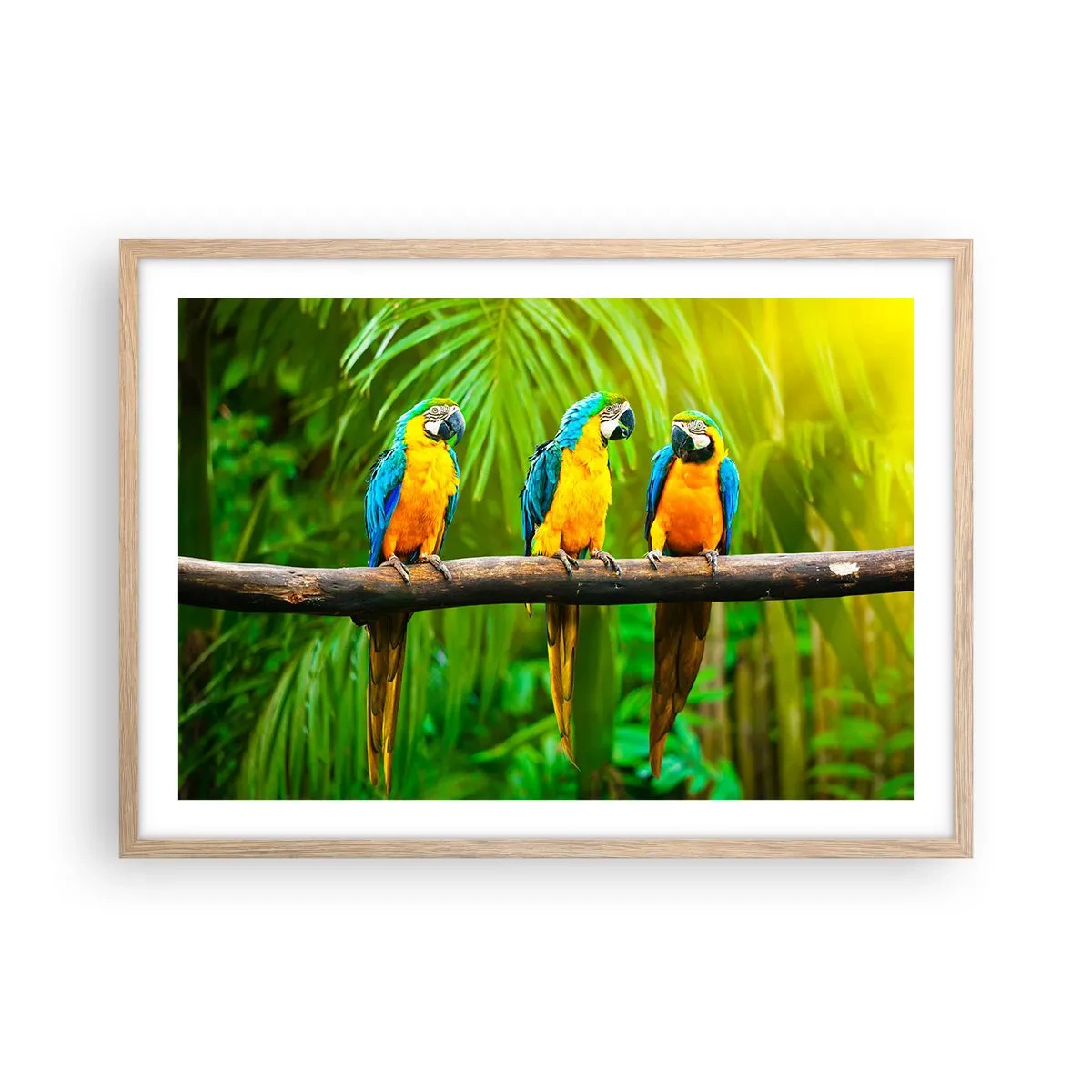 Poster in einem Rahmen aus heller Eiche - Und hast du gehört, dass sie ...? - 70x50 cm