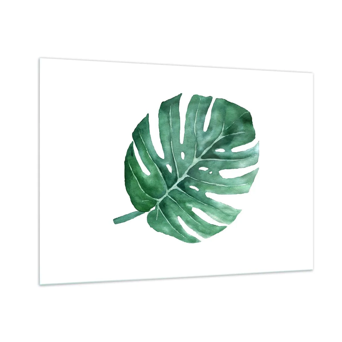 Glasbild - Bild auf glas - Grünes Monstera-Blatt auf weißem Hintergrund - 100x70cm - Grünes Konzept - Moderne Wanddekoration für Wohnzimmer und Schlafzimmer ARTTOR