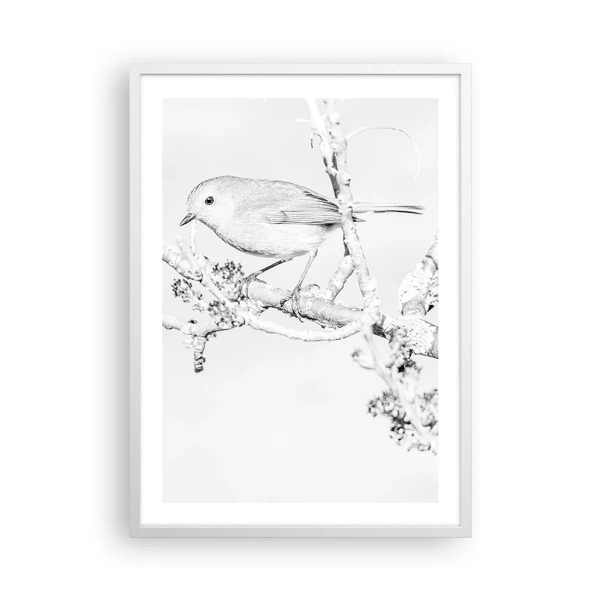 Poster in einem weißen Rahmen - Wintermorgen - 50x70 cm