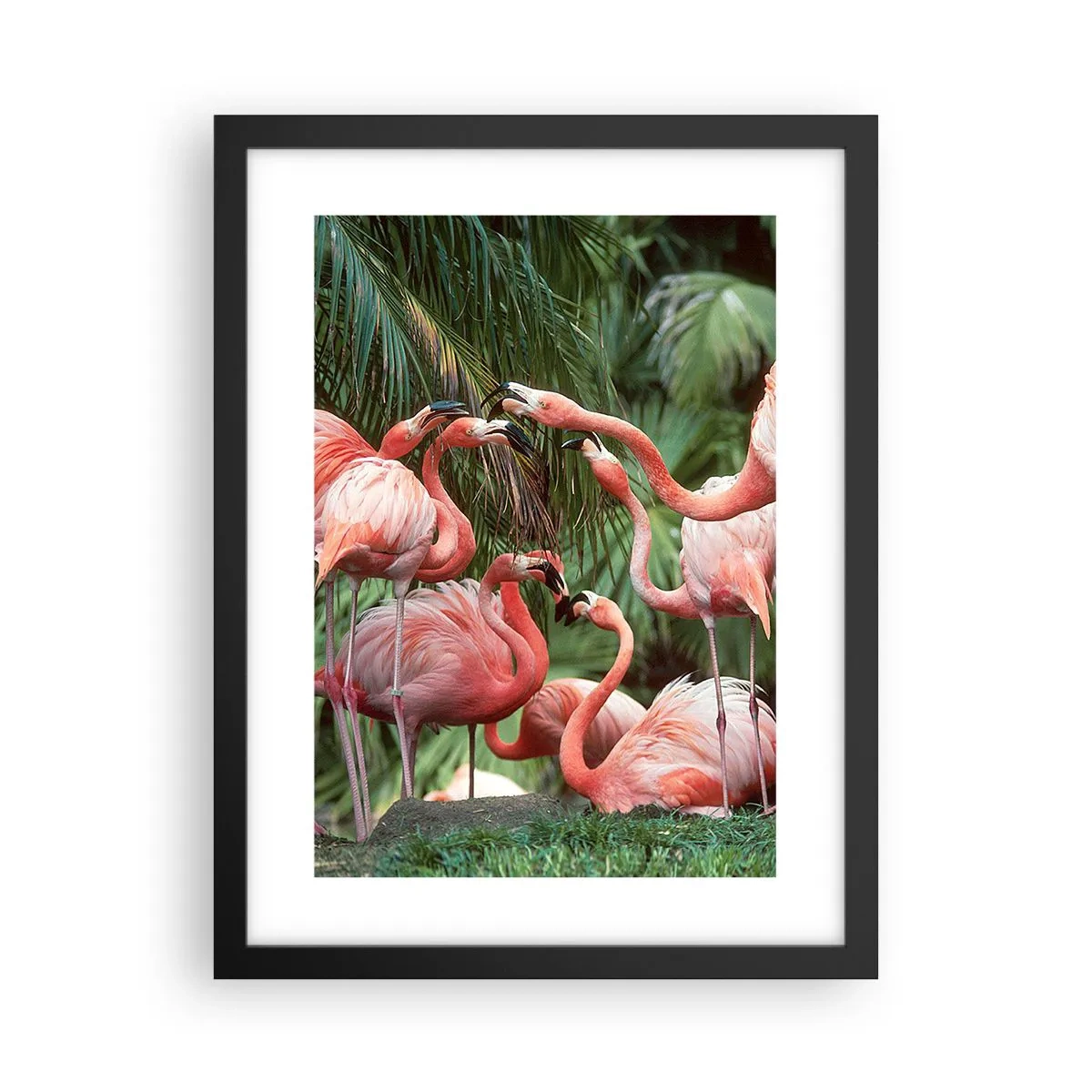 Poster in einem schwarzem Rahmen - Nachmittagsklatsch - 30x40 cm