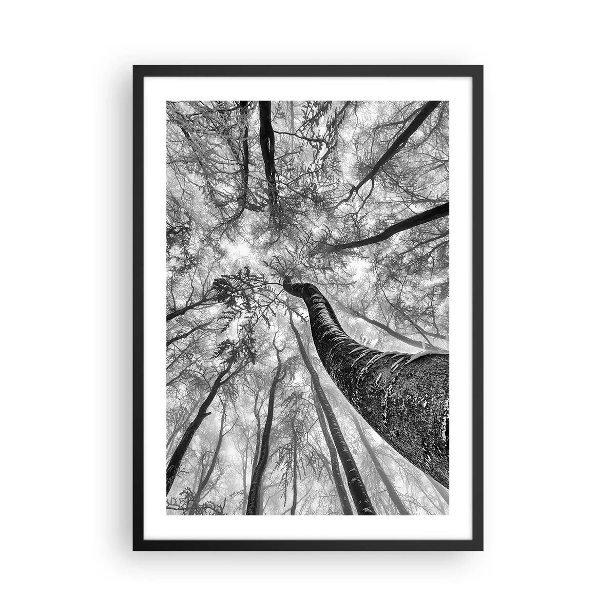 Poster in einem schwarzem Rahmen - Perspektive von Bäumen in Schwarzweiß - 50x70cm - Rennen zum Licht - Moderne Wanddekoration für Wohnzimmer und Schlafzimmer ARTTOR