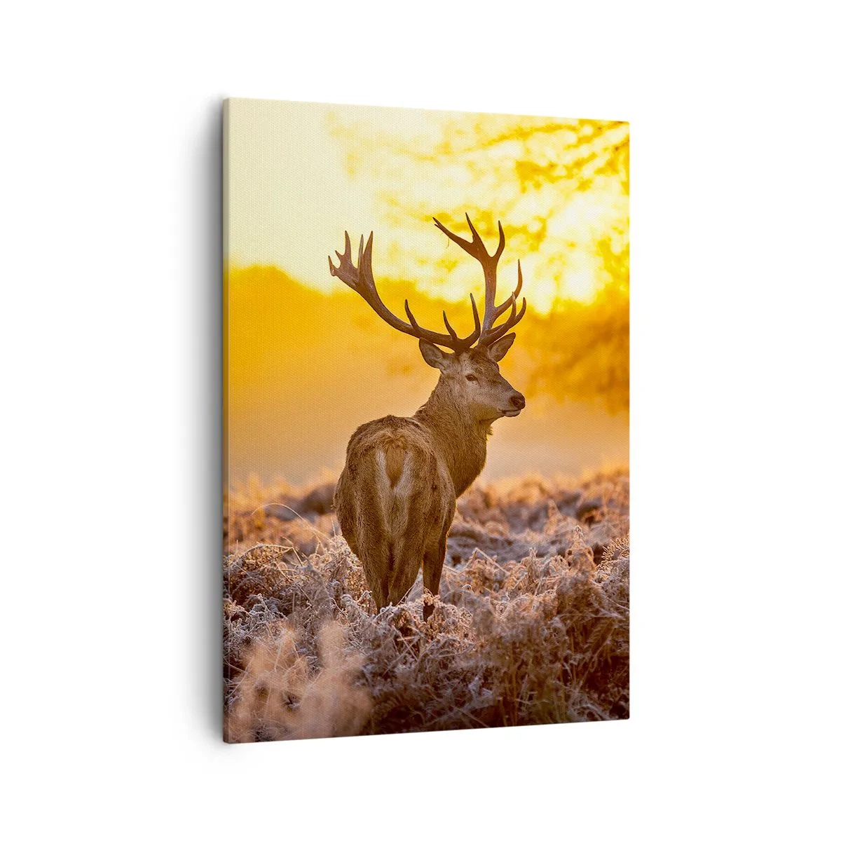 Bild auf Leinwand - Leinwandbild - Ein Hirsch vor dem Hintergrund eines herbstlichen Waldes, der von der goldenen Sonne beleuchtet wird - 50x70cm - König des Herbstwaldes - Moderne Wanddekoration für Wohnzimmer und Schlafzimmer ARTTOR