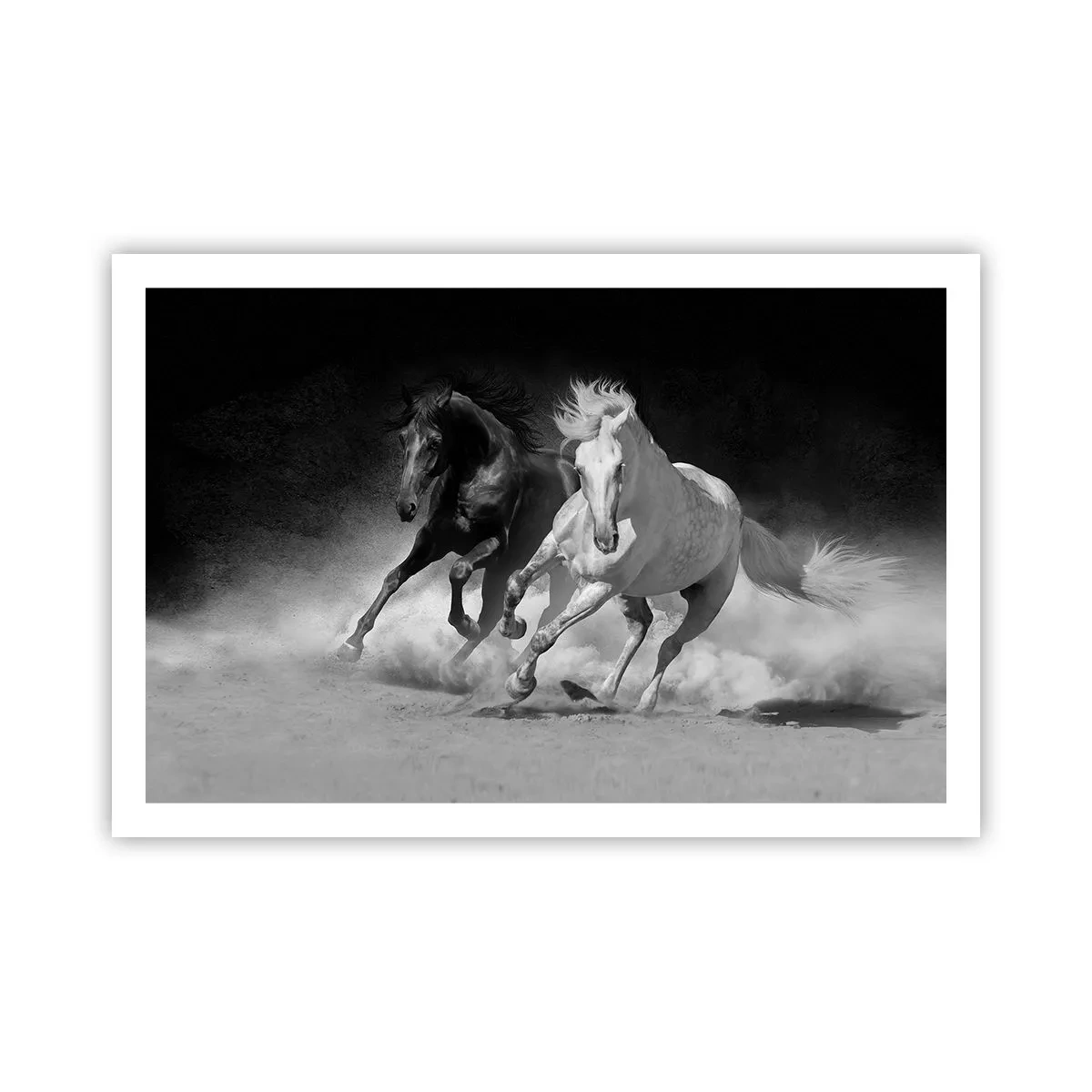 Poster - Galopp der Freiheit - 91x61 cm