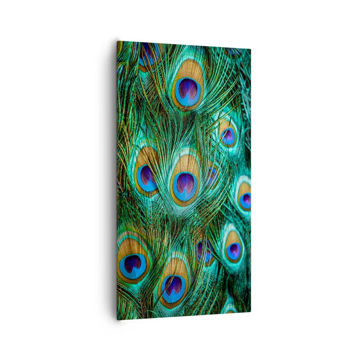 Bild auf Leinwand - Leinwandbild - Ein Blick mit Pfauenaugen - 65x120 cm