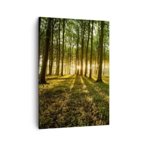 Bild auf Leinwand - Leinwandbild - Die untergehende Sonne im Laubwald - 50x70cm - Alle Frühlingsfotografie - Moderne Wanddekoration für Wohnzimmer und Schlafzimmer ARTTOR