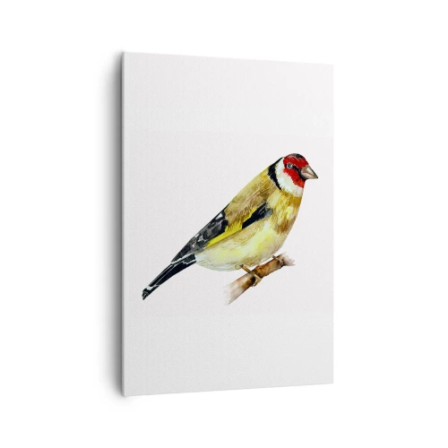 Bild auf Leinwand - Leinwandbild - Ein Vogel mit rotem Kopf auf einem Ast - 70x100cm - Vogelporträt - Moderne Wanddekoration für Wohnzimmer und Schlafzimmer ARTTOR