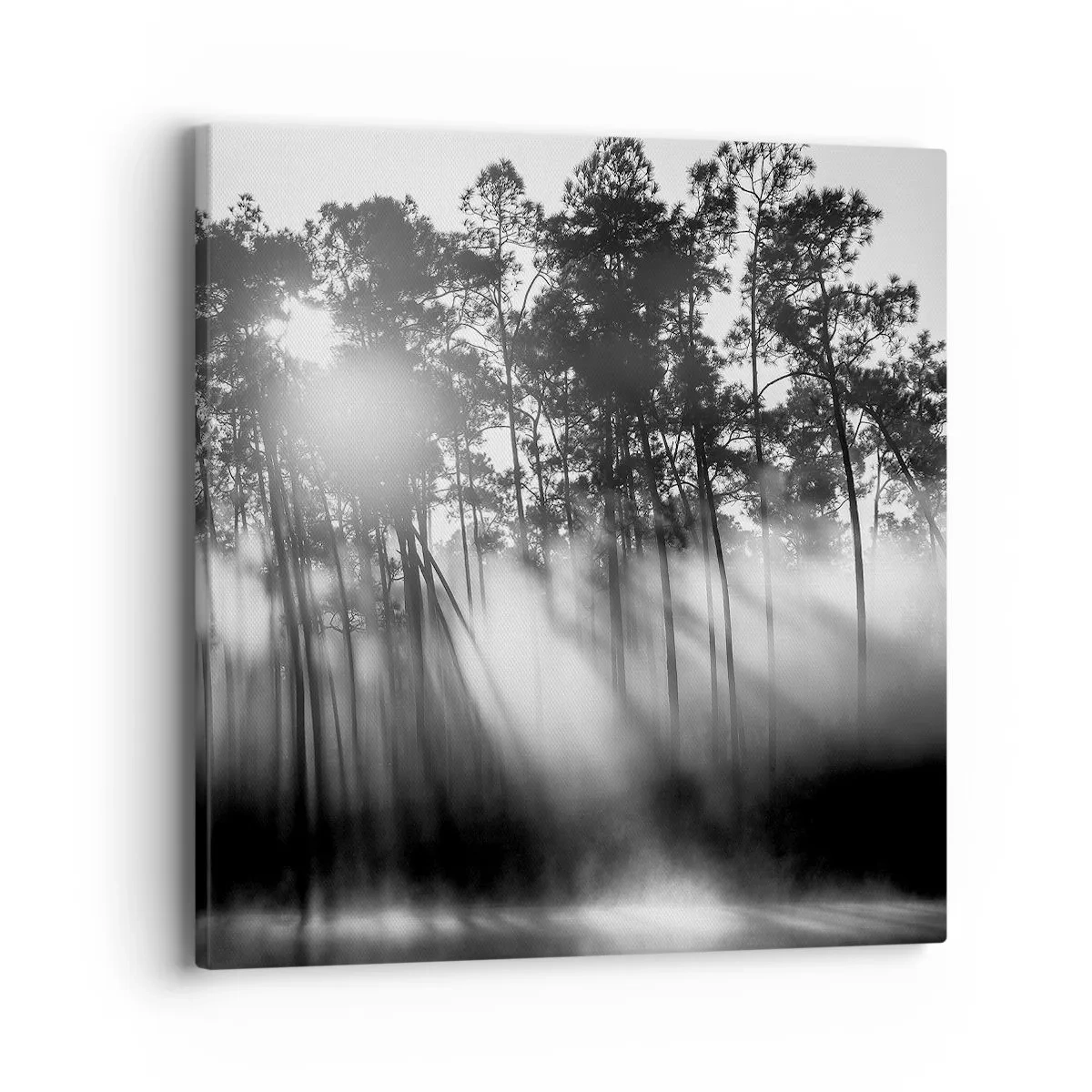 Bild auf Leinwand - Leinwandbild - Unaufhaltsame Sonne - 40x40 cm