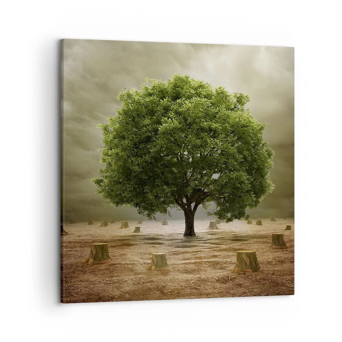 Bild auf Leinwand - Leinwandbild - Alle Hoffnung - 50x50 cm