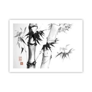 Poster - Dem Orient ganz nah - 70x50 cm