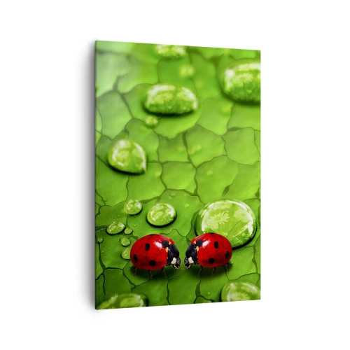 Bild auf Leinwand - Leinwandbild - Zwei Marienkäfer auf einem Blatt mit Wassertropfen in der Makrofotografie - 70x100cm - Treffen im Grünen - Moderne Wanddekoration für Wohnzimmer und Schlafzimmer ARTTOR
