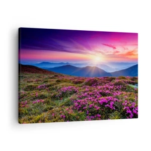 Bild auf Leinwand - Leinwandbild - Bergwiese mit Blumen bei Sonnenuntergang - 70x50cm - Kräuter dufteten nach frischen Trauben von den Feldern - Moderne Wanddekoration für Wohnzimmer und Schlafzimmer ARTTOR