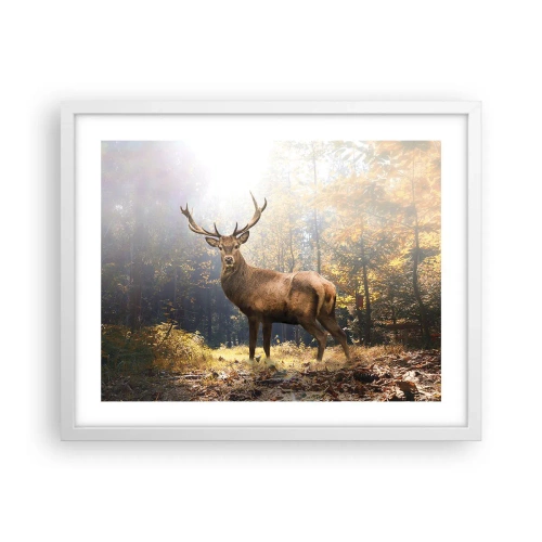 Poster in einem weißen Rahmen - In voller Majestät - 50x40 cm