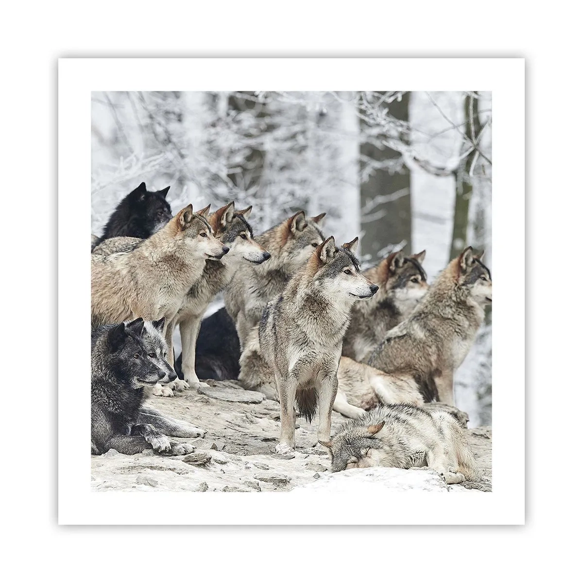 Poster - Familie und Freunde - 50x50 cm
