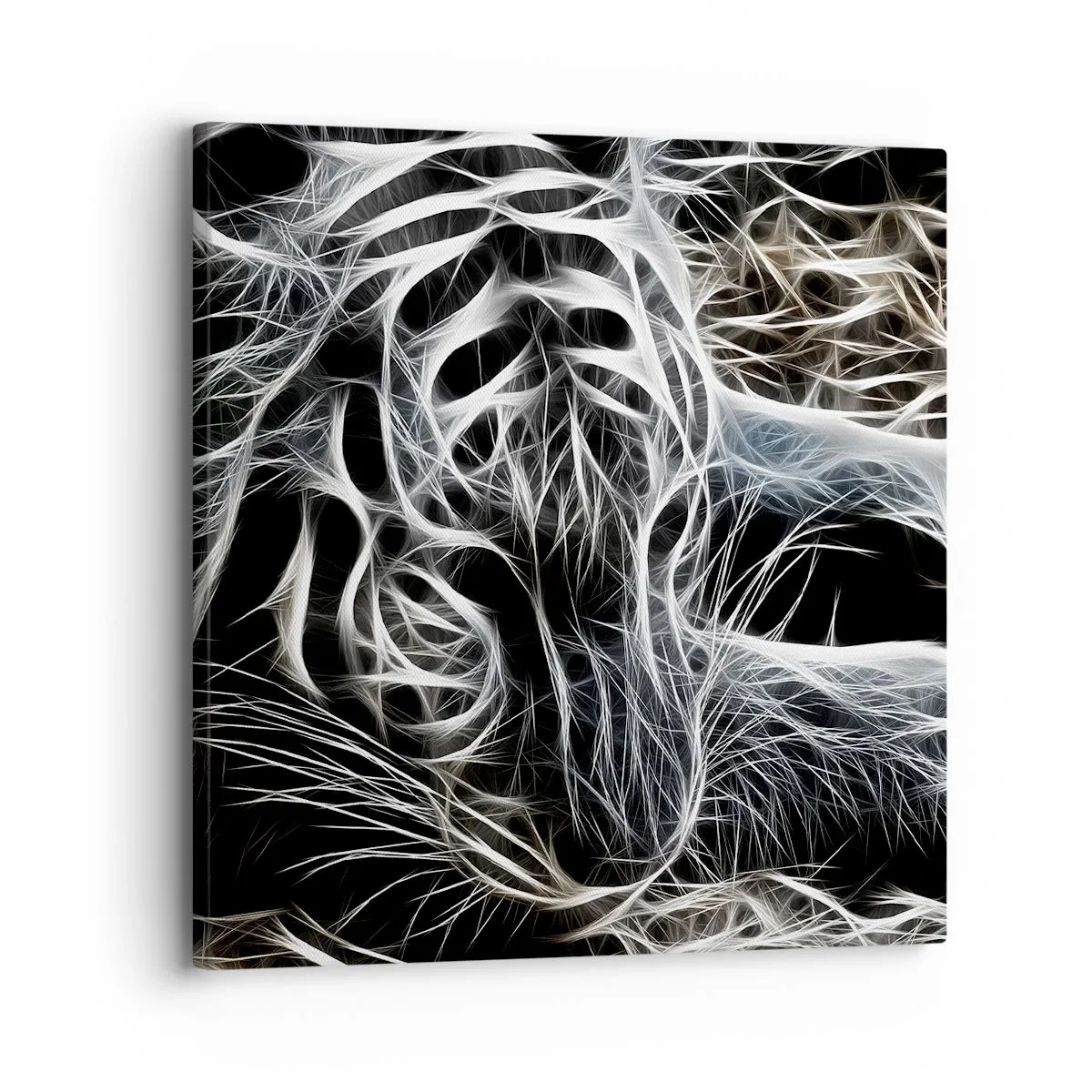 Bild auf Leinwand - Leinwandbild - Eine Studie über die Leichtigkeit der Katze - 30x30 cm