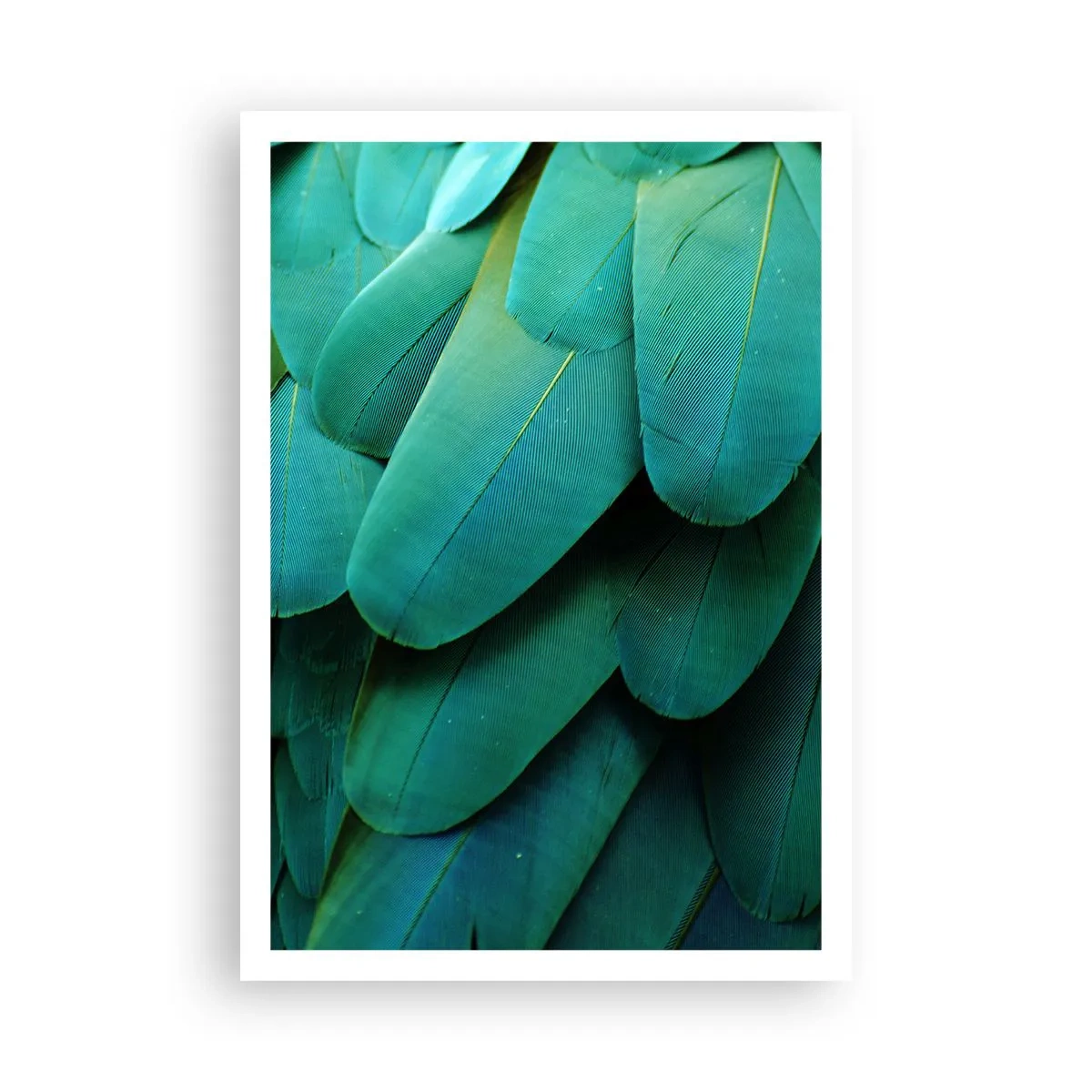 Poster - Papageienartige Präzision - 70x100 cm