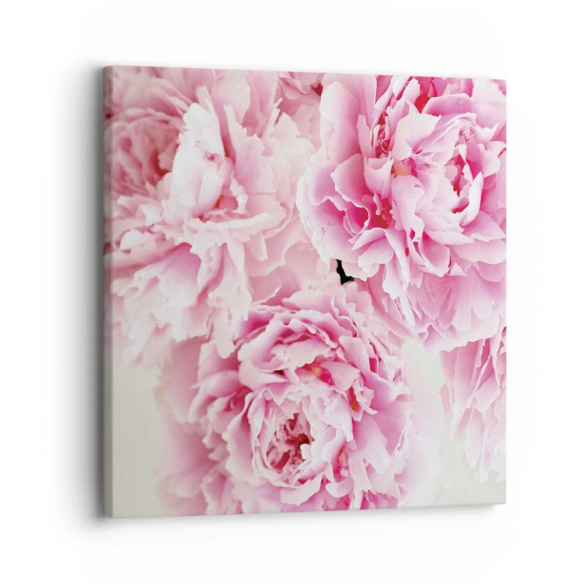 Bild auf Leinwand - Leinwandbild - In rosa Glamour - 30x30 cm