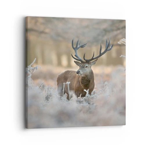 Bild auf Leinwand - Leinwandbild - Ein flotter Morgen - 30x30 cm