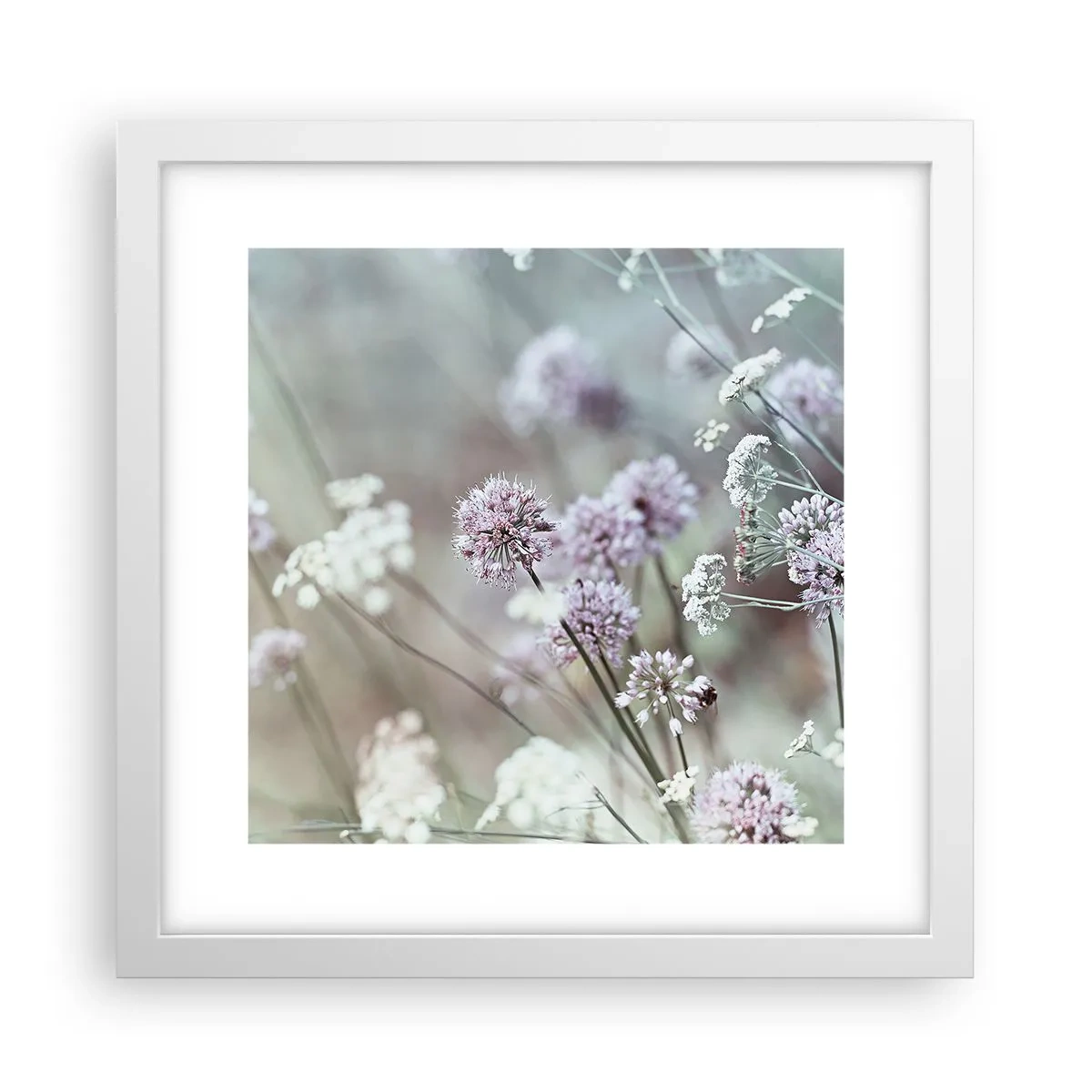 Poster in einem weißen Rahmen - Süße filigrane Kräuter - 30x30 cm