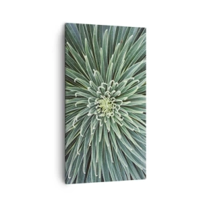 Bild auf Leinwand - Leinwandbild - Ein Star ist geboren - 45x80 cm