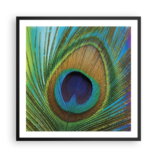 Poster in einem schwarzem Rahmen - Auge in Auge - 60x60 cm