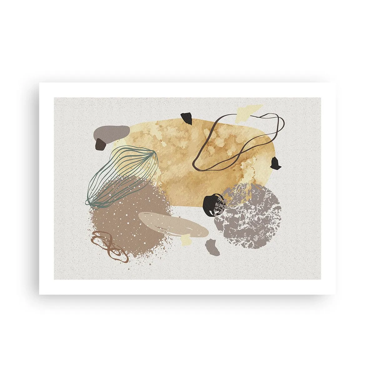 Poster - Angewandte Plumkologie - 70x50 cm