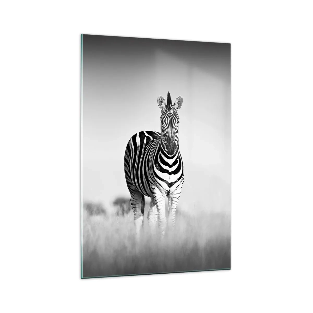 Glasbild - Bild auf glas - Zwei Zebras in der Savanne im monochromen Stil - 70x100cm - Die Welt ist doch schwarz-weiß - Moderne Wanddekoration für Wohnzimmer und Schlafzimmer ARTTOR