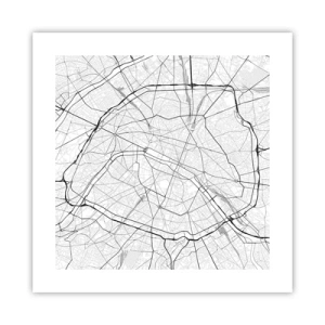 Poster - Pariser Blume - 40x40 cm