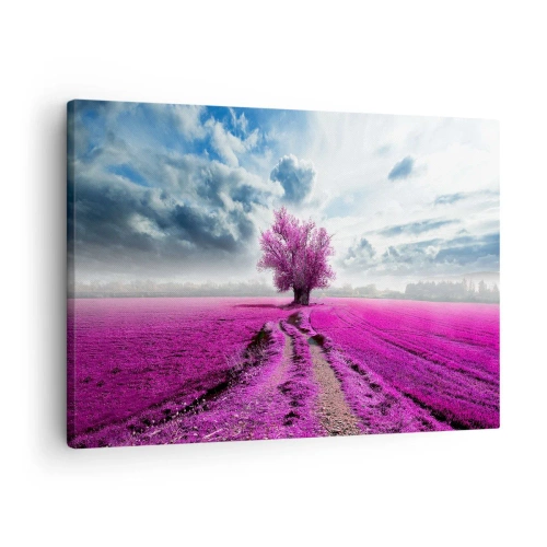 Bild auf Leinwand - Leinwandbild - Ein einsamer Baum auf einem Feld in einem intensiven Rosaton - 70x50cm - Heide - Wildnis - Moderne Wanddekoration für Wohnzimmer und Schlafzimmer ARTTOR