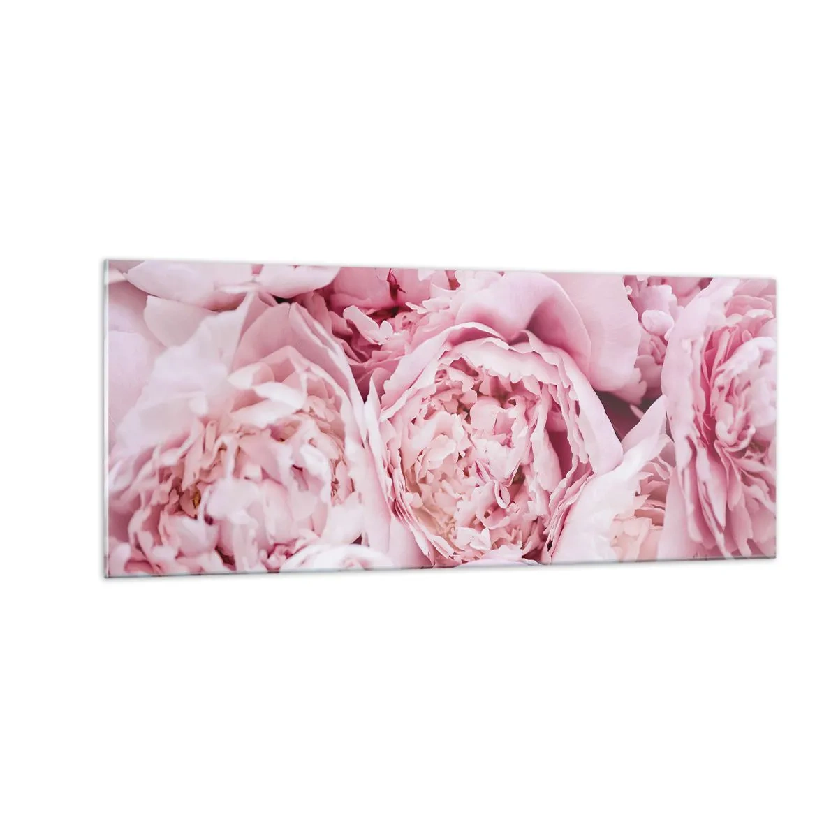 Glasbild - Bild auf glas - Anschmiegsam und duftend - 100x40 cm
