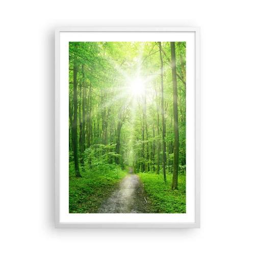 Poster in einem weißen Rahmen - Die grüne Kathedrale - 50x70 cm