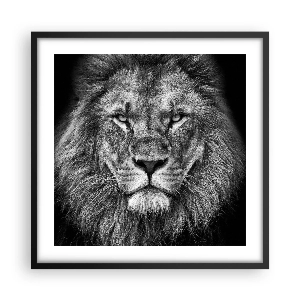 Poster in einem schwarzem Rahmen - Im Krönungsgewand - 50x50 cm