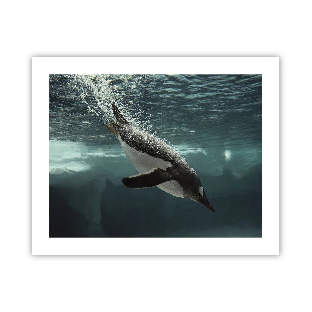 Poster - Willkommen in meiner Welt - 50x40 cm