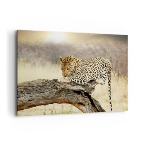 Bild auf Leinwand - Leinwandbild - Ein Leopard ruht auf einem Baumstamm in der Savanne - 120x80cm - Ich gehe meine eigenen Wege - Moderne Wanddekoration für Wohnzimmer und Schlafzimmer ARTTOR